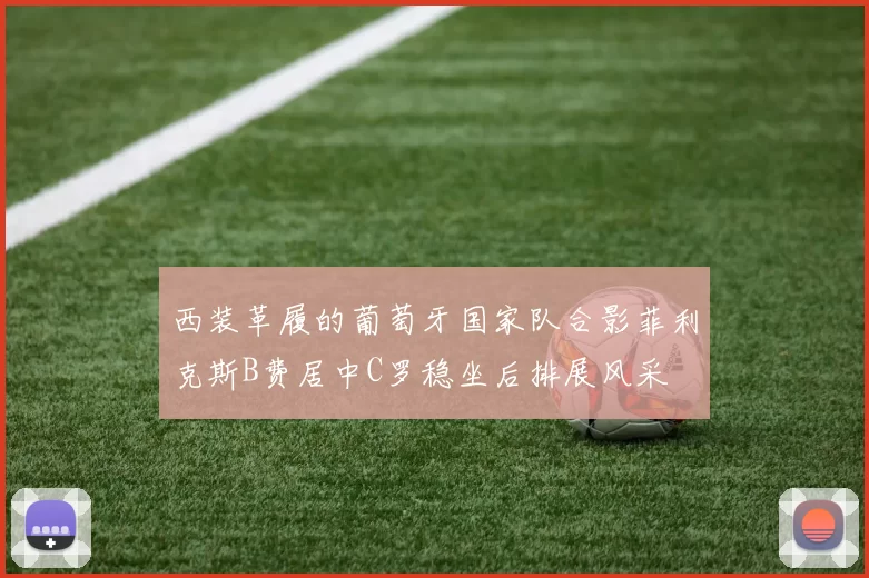 西装革履的葡萄牙国家队合影菲利克斯B费居中C罗稳坐后排展风采